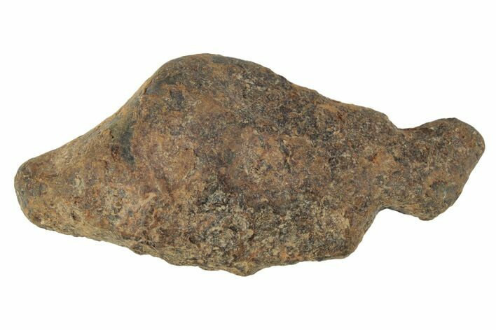Agoudal Iron Meteorite ( g) - Morocco #245605